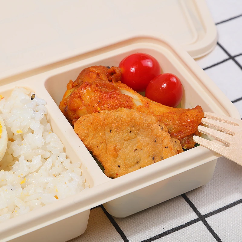 همبرغر علب الاغذية طبقة مزدوجة - مراجعة Bento Box Two Tier وسعره